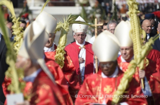 Omelia del Santo Padre Francesco in Piazza San Pietro: Celebrazione della domenica delle Palme
